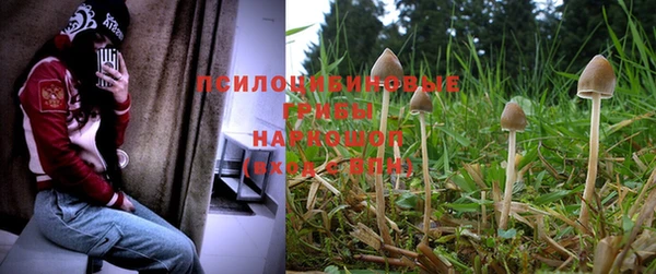 индика Печоры