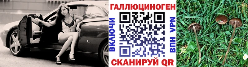 darknet телеграм  сколько стоит  Петров Вал  Псилоцибиновые грибы Psilocybe 